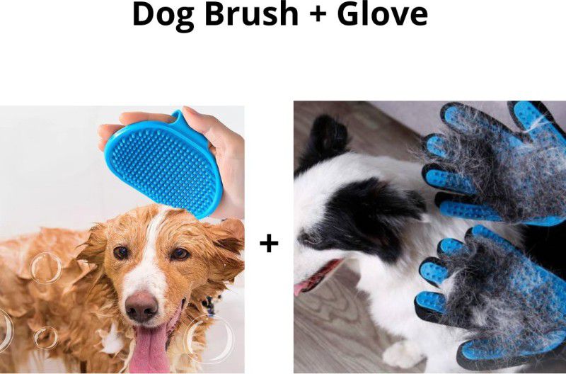 Regiis 1 Dog Brush and 2 Gloves for your Furry Friend Basic Comb for Dog & Cat