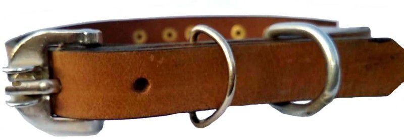 Petox Zone Embellished Dog Collar Charm  (Brown, Solid)