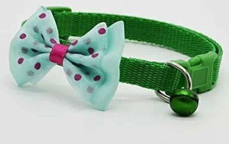 FONDLE Cat Everyday Collar  (Small, Green)