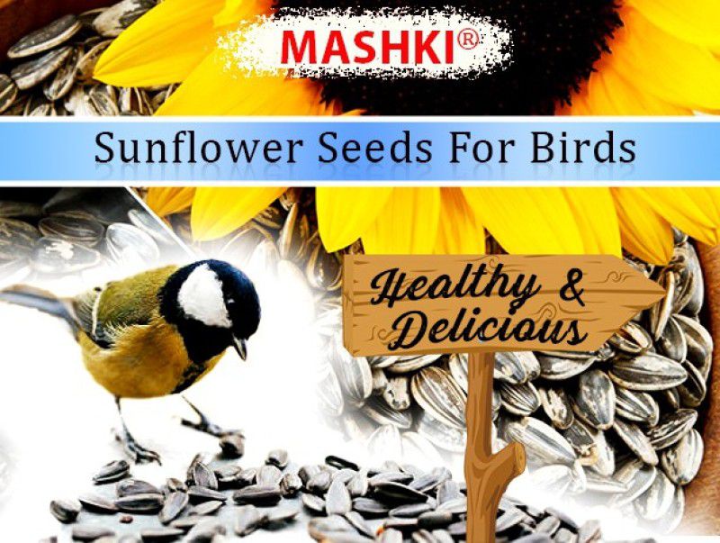 MASHKI 1 Kg Sunflower Seeds for Bird, Sunflower for All Birds Food 1 kg Dry Adult, Senior Bird Food