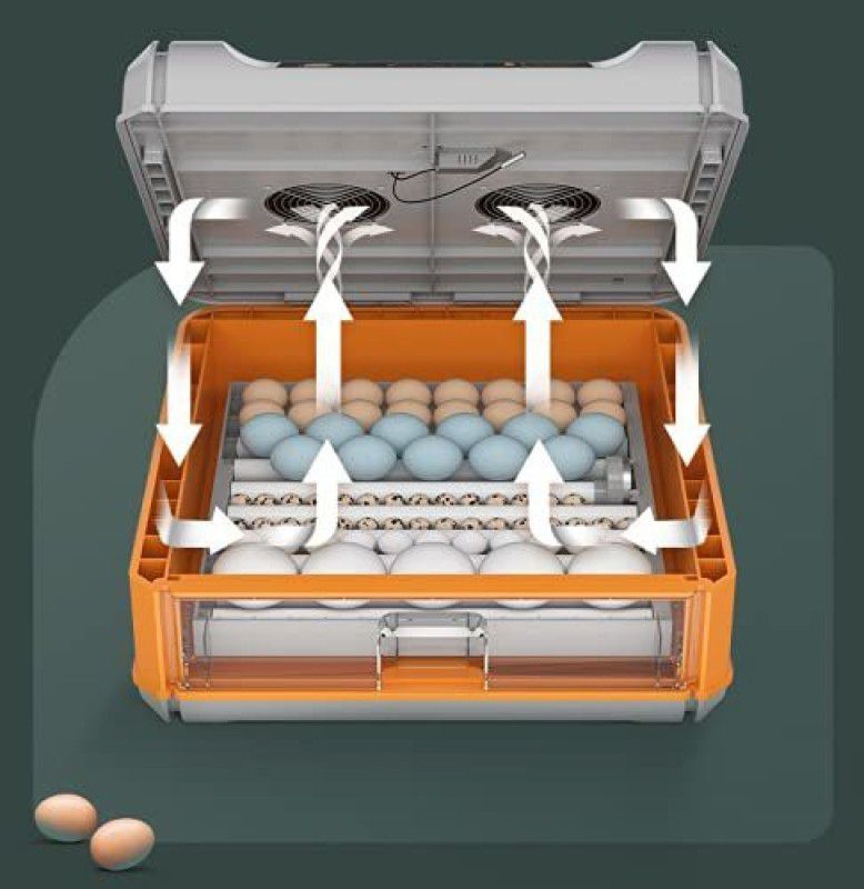 TM&W Hot sale egg incubator for chicken,mini egg incubator with drawer type, egg capacity- (64-EGG-ORANGE) Egg Incubator