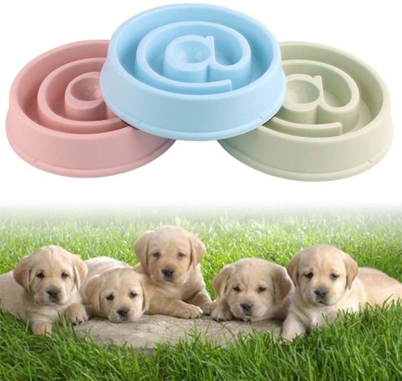 PETS EMPIRE Plastic Pet Bowl  (550 ml Multicolor)