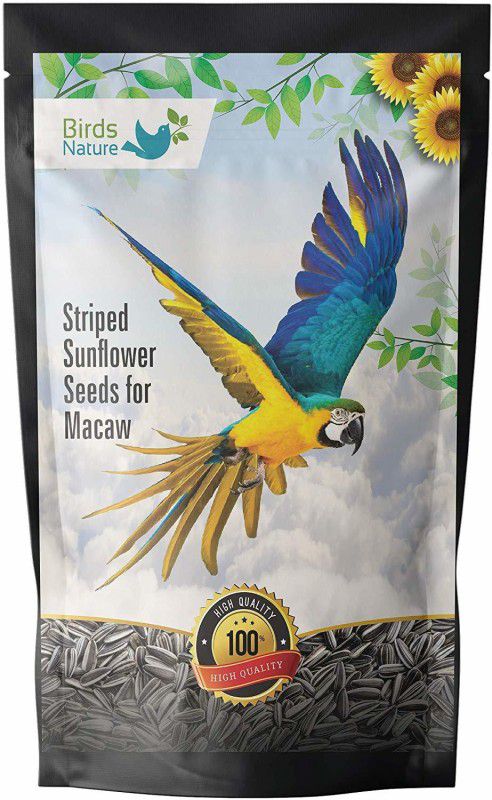 BirdsNature Sunflower Seeds for Macaw Parrot and Exotic Birds 0.5 kg Dry Adult Bird Food