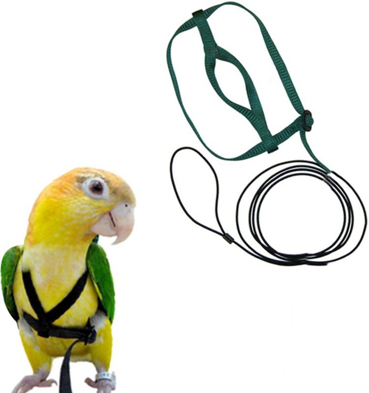Western Era Bird Harness With Lease Strong, Durable, Elastic Nylon, For Small Birds/ Parrot Bird Standard Harness  (Extra Small, Multicolor)
