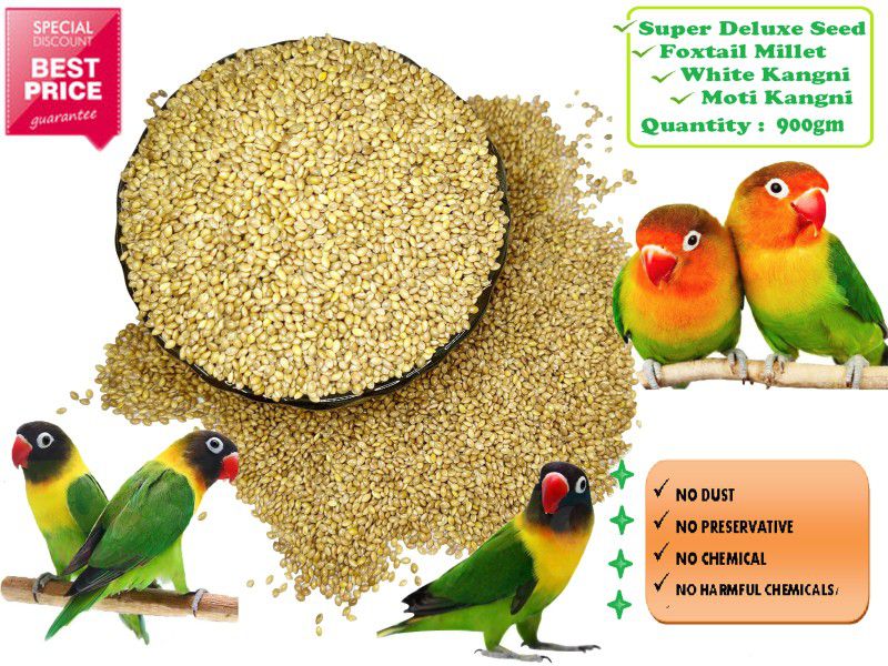 Super Deluxe/ Foxtail Millet for all Birds (900gm) Nuts 0.9 kg Dry Adult Bird Food