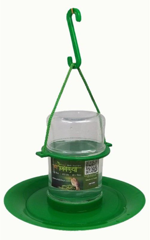 AMIJIVDAYA Small Water feeder for birds Window Bird Feeder Bird Feeder  (Green)