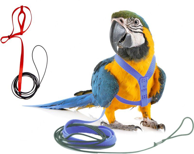 Western Era Bird Harness With Leash, Design for Outdoor Activities for Large Birds/ Parrot Bird Standard Harness  (Large, Multicolor)