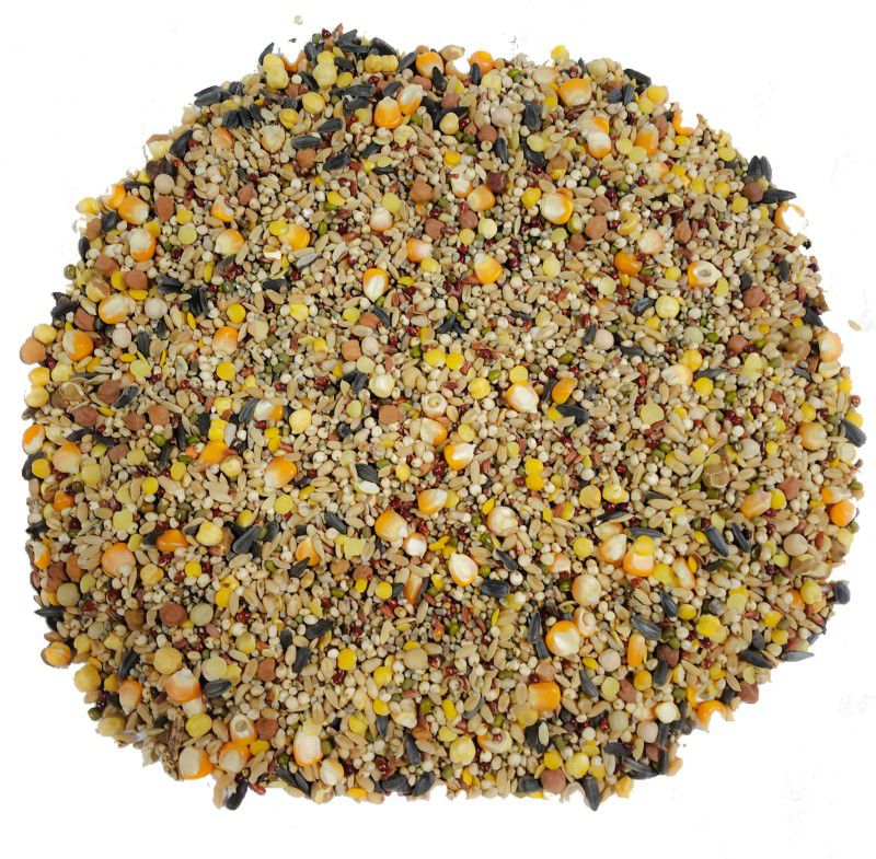 Pets Wizard Bird Food for all types of Pigeons - 13 Mix Seeds 1800 Grams 1.8 kg Dry Adult Bird Food