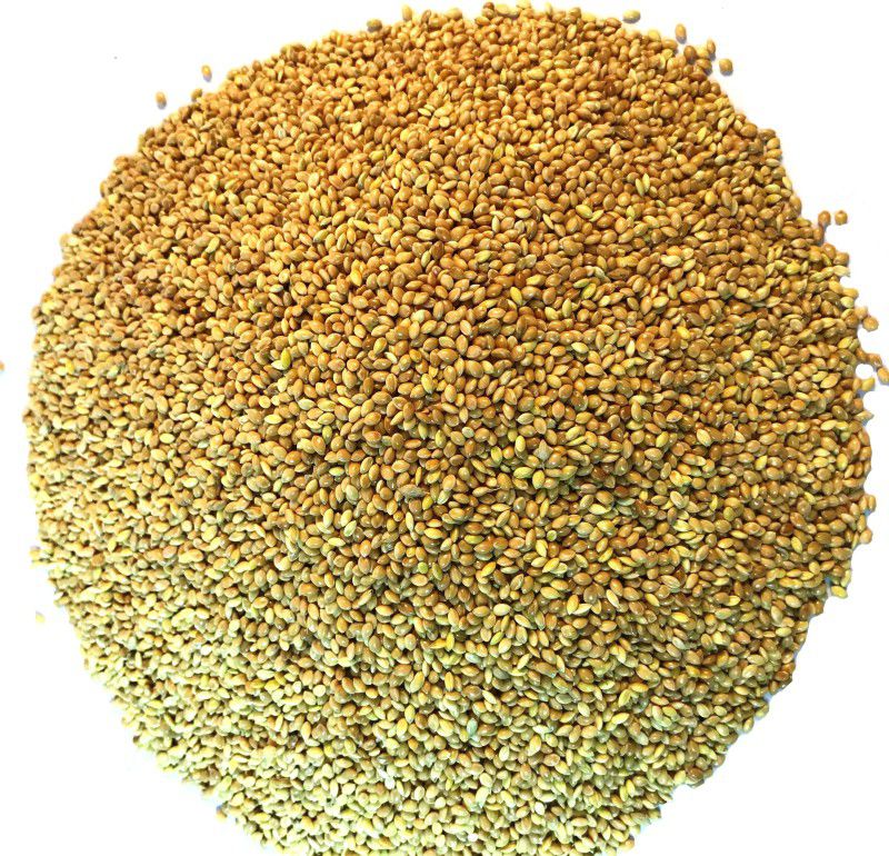 Nitishree Premium Moti Kangni Seed Bird Food- 4000 Gms 4 kg Dry New Born, Adult, Young, Senior Bird Food