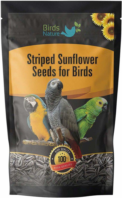 BirdsNature Imported Large Size Sunflower Bird Seeds 500g 0.45 kg Dry Adult Bird Food