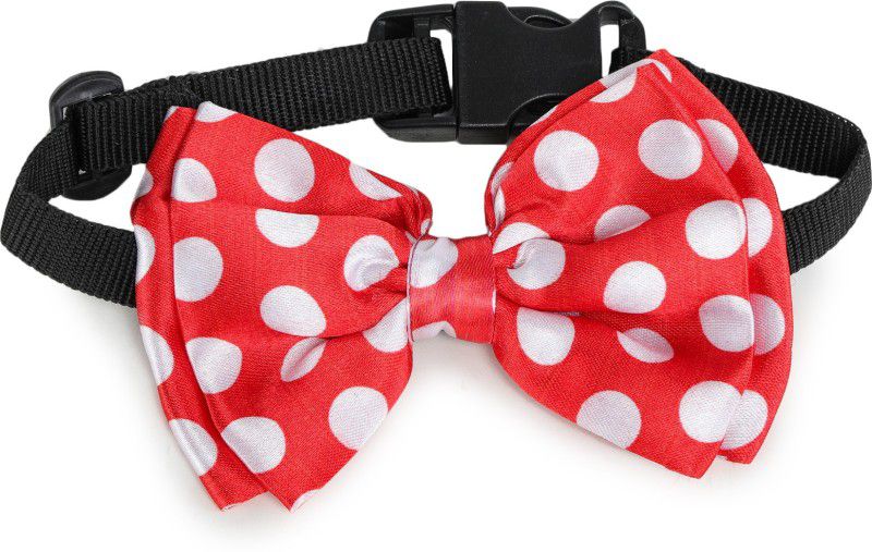 Barks & Wags Bow Tie for Dog, Cat  (Red Polka Dots)