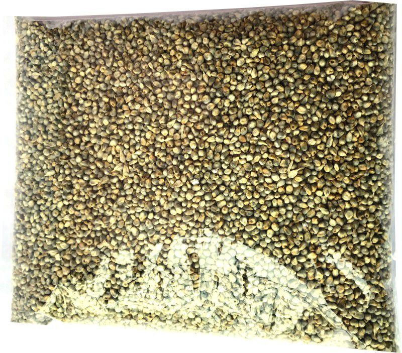 Nitishree 100% Natural Pearl Millet (Bajra/Kambu) Bird Food for Canary, Finches, Budgies, Lovebirds, Cockatiels (2kg) 2 kg Dry Adult, Young, Senior Bird Food