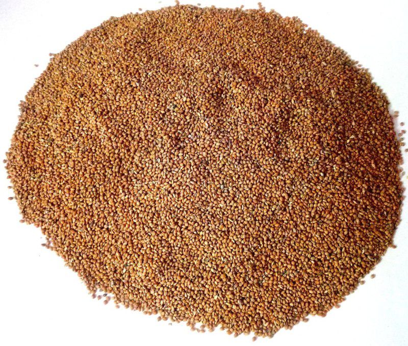 Sky Bird Foods Millet Dry Red Foxtail (1000 Gram) For all Birds Nuts 1 kg Dry New Born, Adult, Young Bird Food