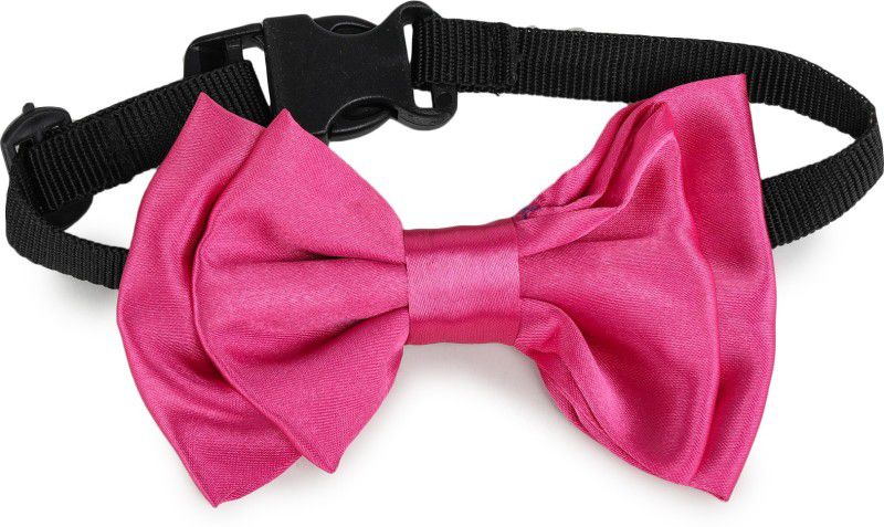 Barks & Wags Bow Tie for Dog, Cat  (Pink)