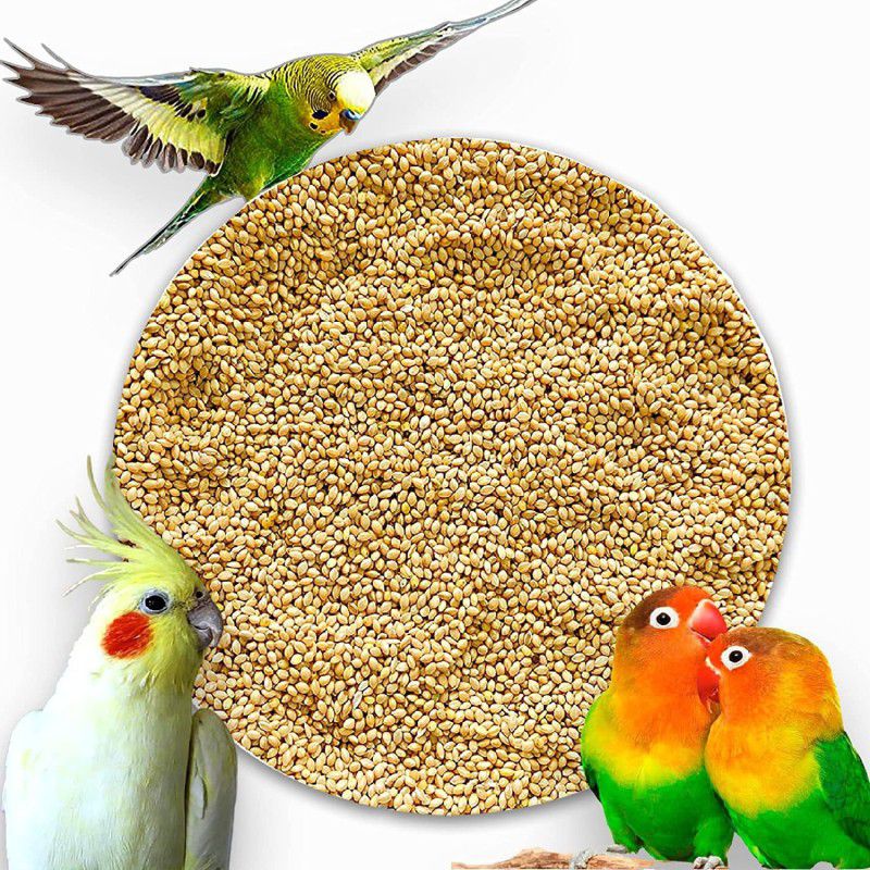 Hanu Atmos Millets Kangni Bird Food Foxtail Millet Seeds for Birds 4 Kg Oats 4 kg Dry Adult, New Born, Senior, Young Bird Food