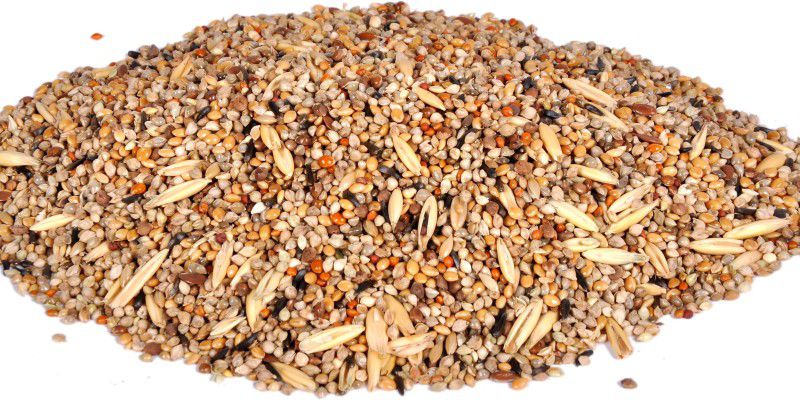 11 types of seed mix for budgies,love birds,cocktails,parakeets,sparrows,finches Nuts 1.5 kg Dry Adult Bird Food