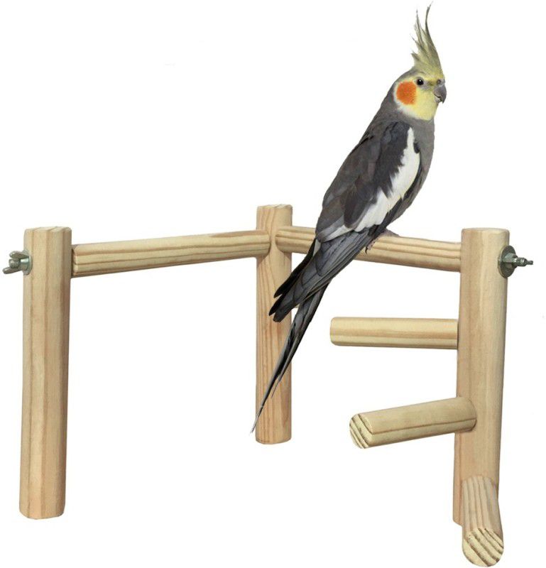Sage Square 8 Inches Training Gym cum Exercise Stand with 3 Stations Natural Wood Playful Perch Bird Stand / Toy for Healthy and Active Bird Wooden Training Aid, Stick For Bird