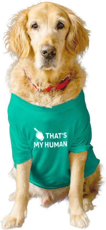 RUSE T-shirt for Dog, Cat  (Summer Crew neck"THAT'S MY HUMAN" Printed Tee Gift for Dogs(Aqua Green)XXL)