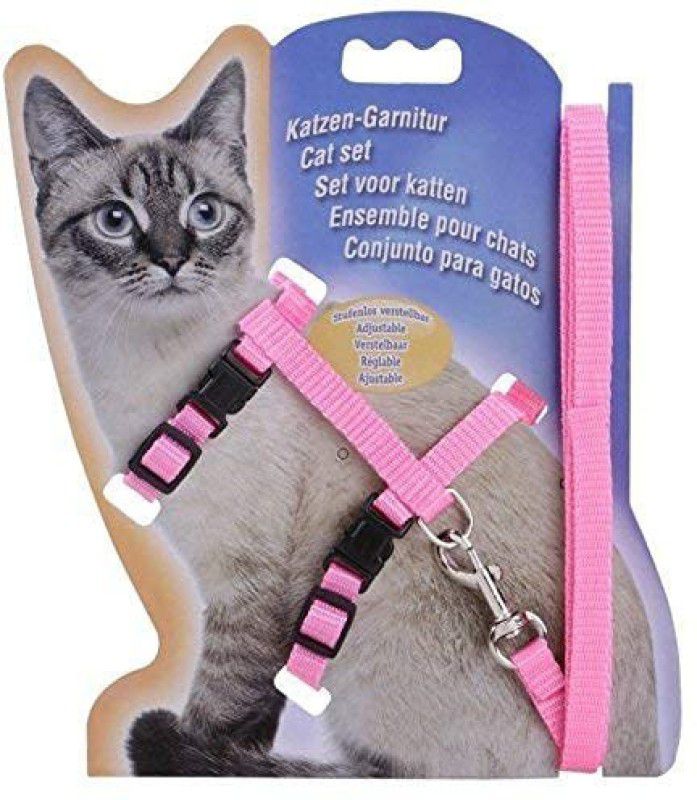 DCM PET MART Cat Harness & Leash  (Medium, Multicolor)