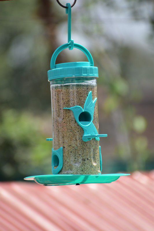 AMIJIVDAYA Medium Bird Shape Nozzle Window Bird Feeder  (Blue)