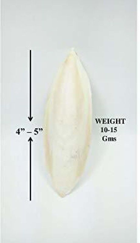 ADILAID Calcium Dried Cuttle Fish Bone For Birds Pet Health Supplements  (100 g)