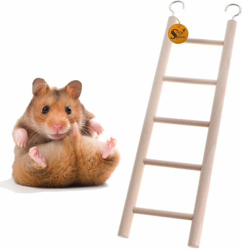 Sage Square Playful Natural Wood Climbing Ladder With Hooks Toy Hamsters, 5 Stairs / 26cm Wooden Stick, Training Aid For Hamster