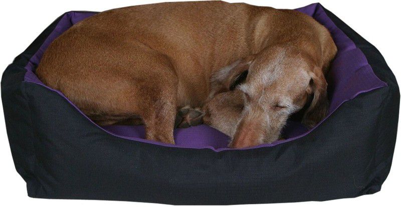 Comfy Pet Gorgeous Soft Cats and Dogs M Pet Bed  (Black/Purple)