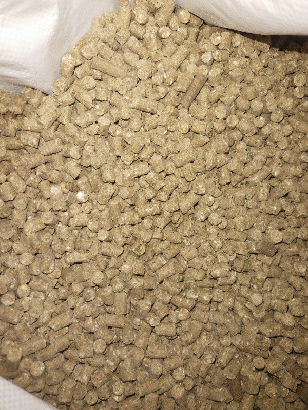Cattle food of best quality 10 kg Dry Adult, New Born Cow Food