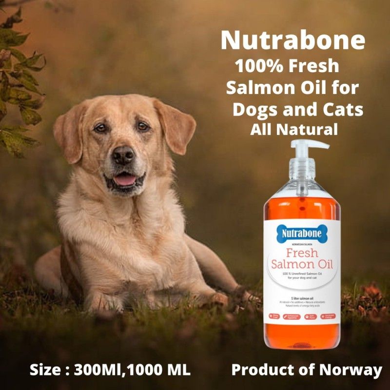 Nutrabone Salmon Oil Supplement for Dog And Cat Pet Health Supplements  (350 ml)