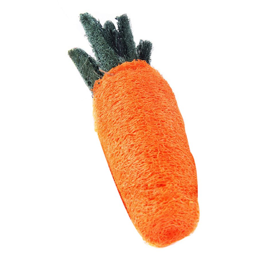Pet Toy Bright Color Pet Rabbit Carrot Teeth Grinding Toys