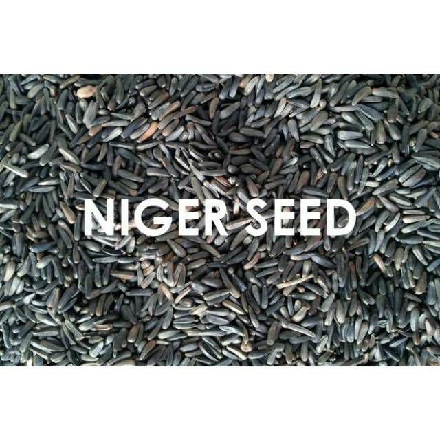 Niger Seed (Guzitil) -500gm