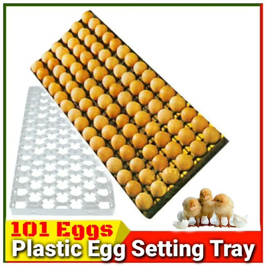 Plastic Egg Setting Trays 101 Eggs for Egg Incubator W1209 XH-M452 XM-18