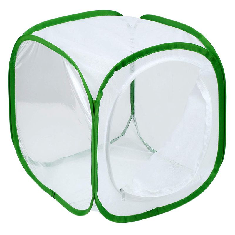 Insect and Butterfly Habitat Cage Terrarium Pop-up 12 x 12 x 12 Inches (White + green)