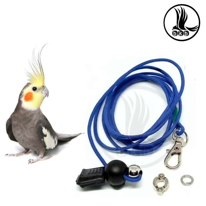 2 miter elastic harness rope with cockatiel bird anklet ring 5.5 m m (full set)