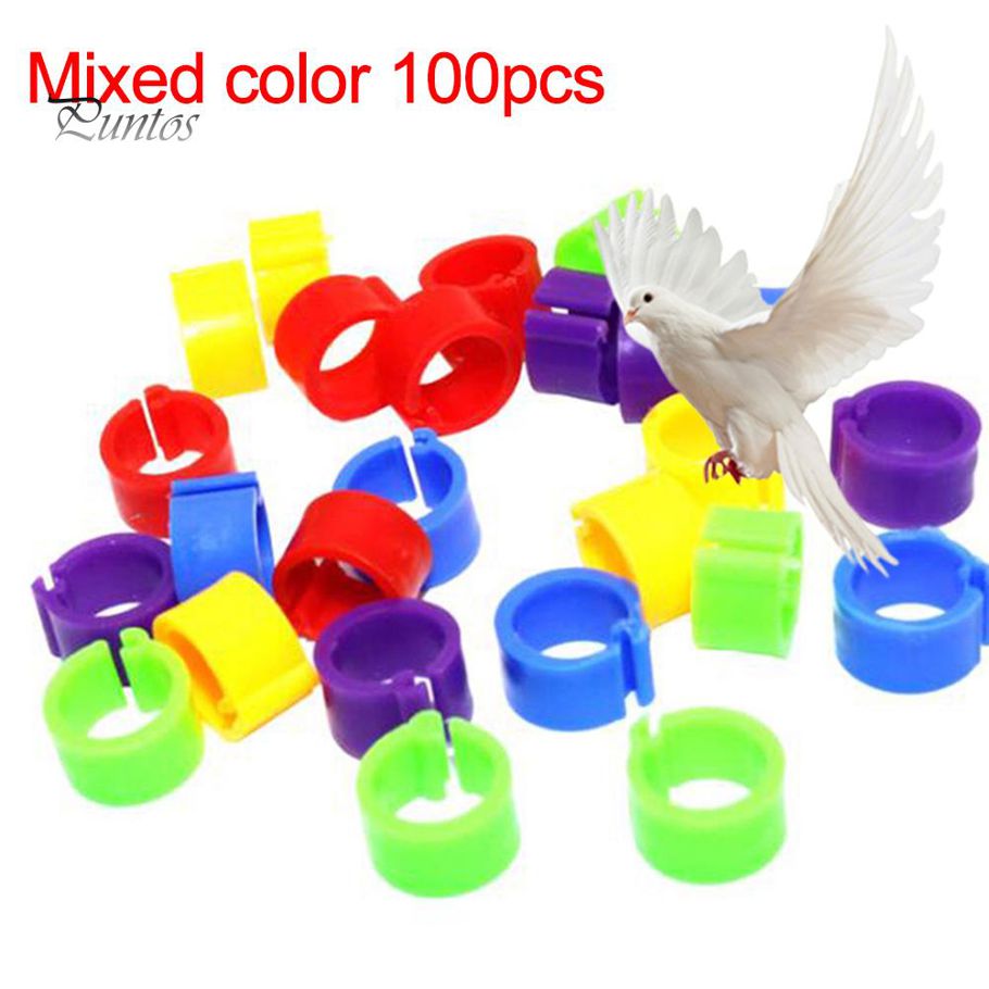 Bird & Pigeon leg rings for beauty Multicolor 100 pis