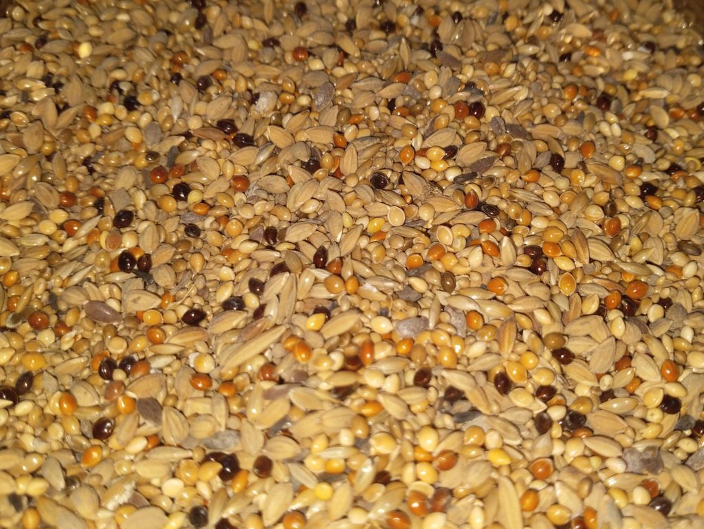 Finches Mix Birds Food -1kg