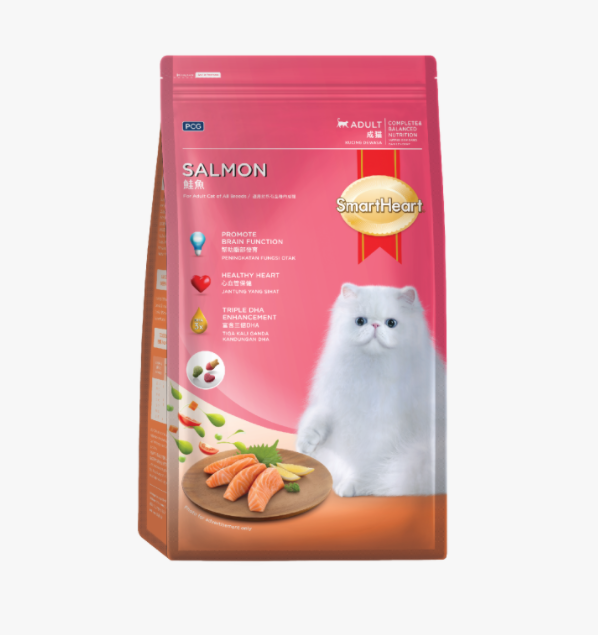 cat food  Salmon Flavor 3kg