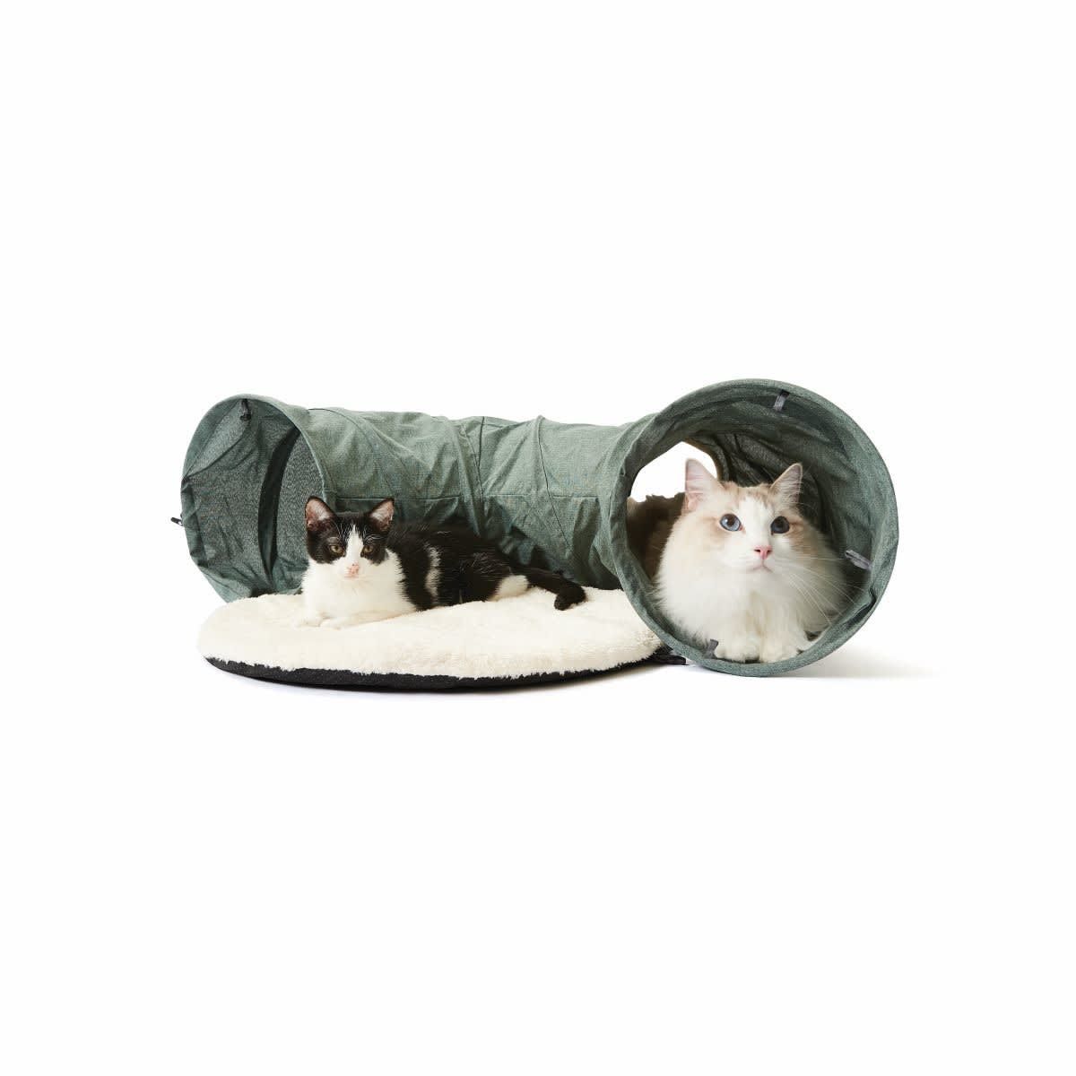 Cat Mat & Tunnel