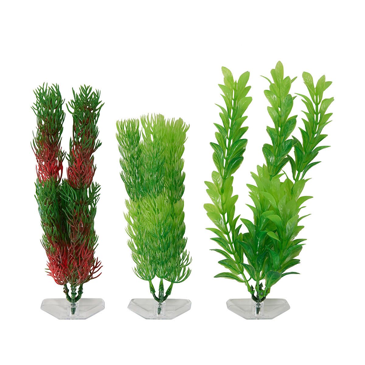 Aquarium Plants