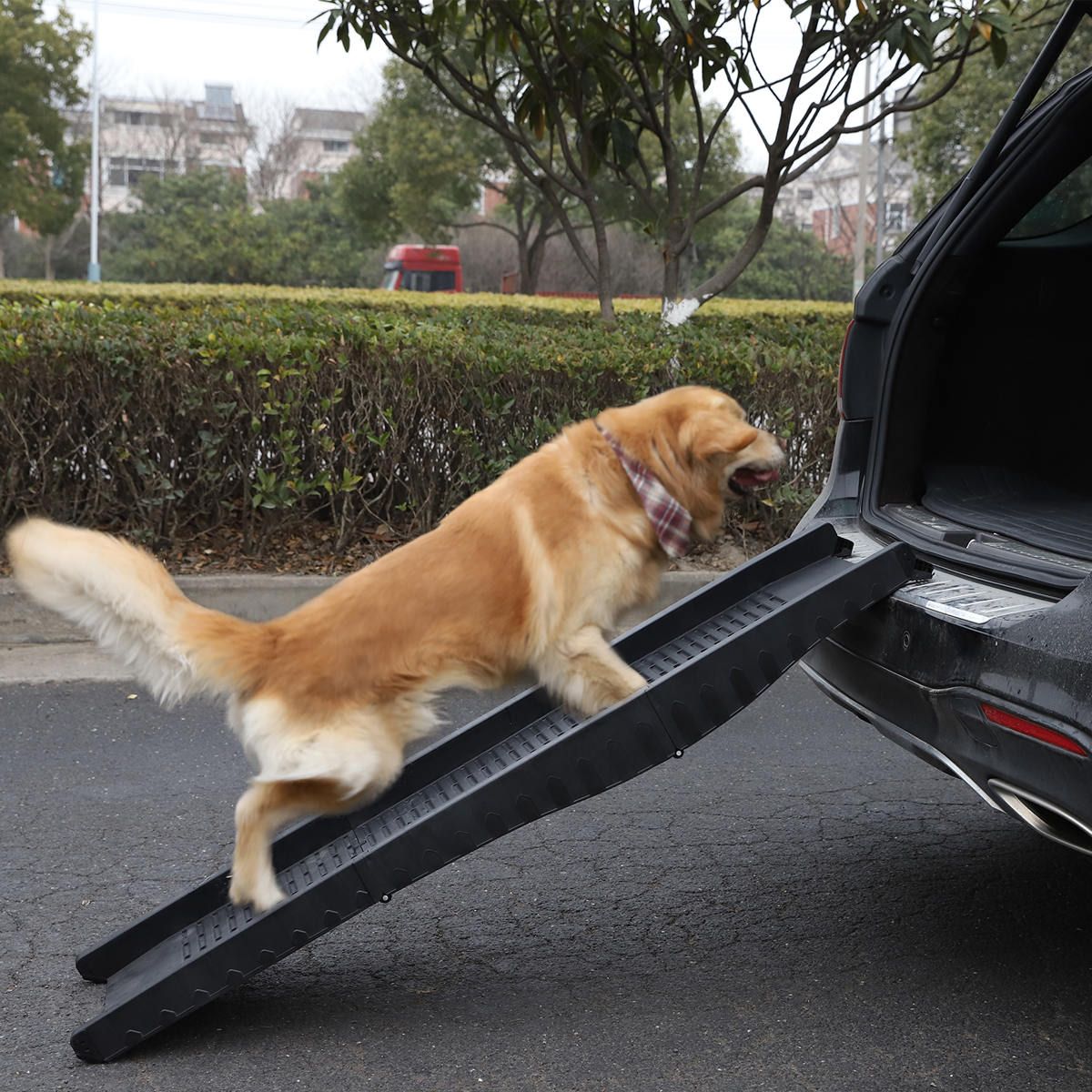 Pet Ramp