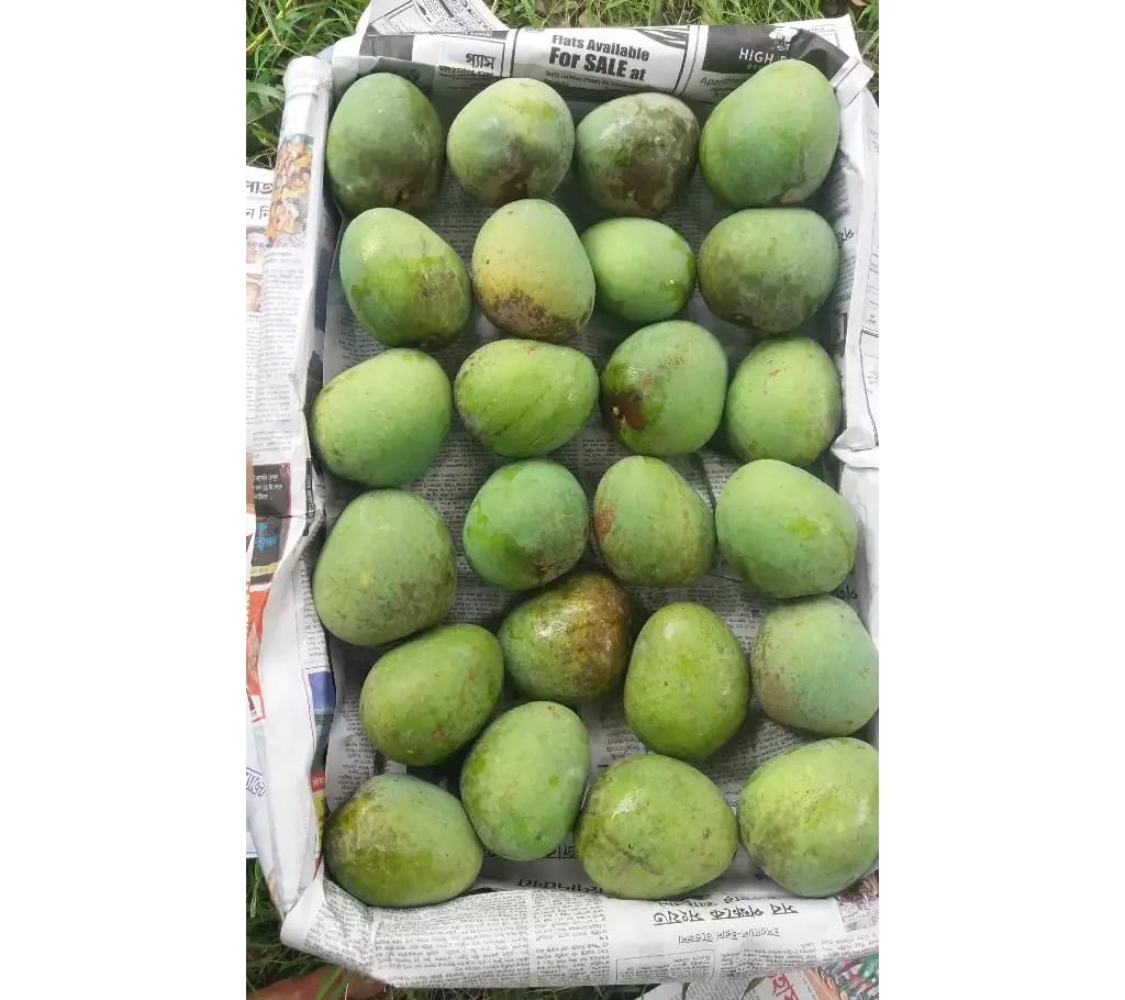 Himsagar Mango (40kg)