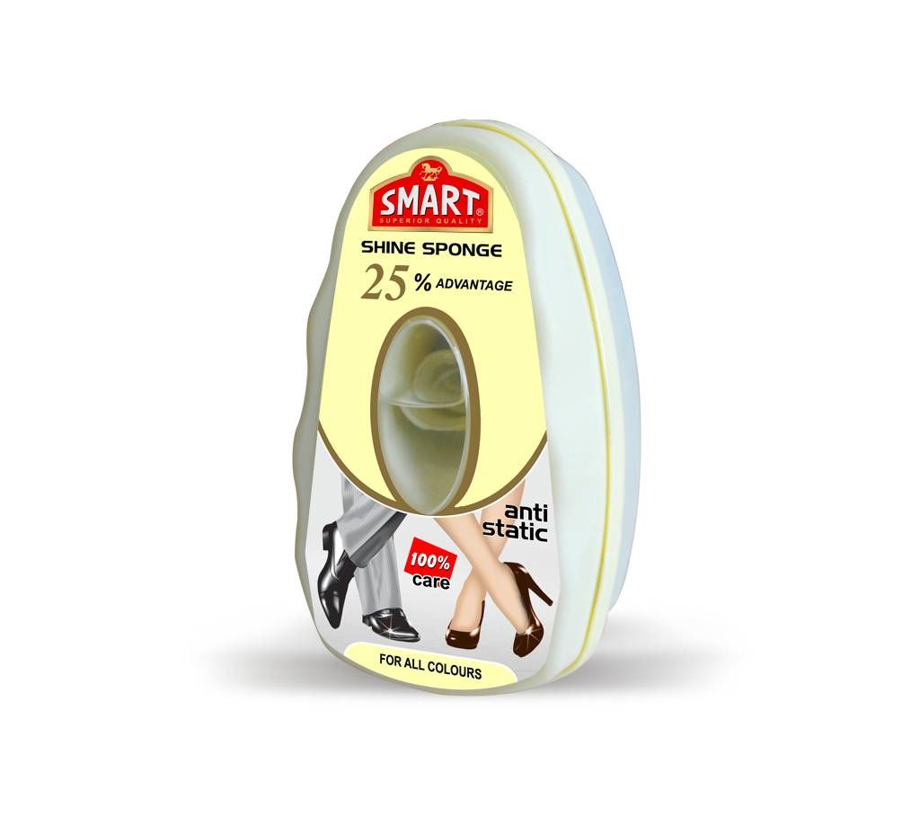 Instant Shine Sponge Container