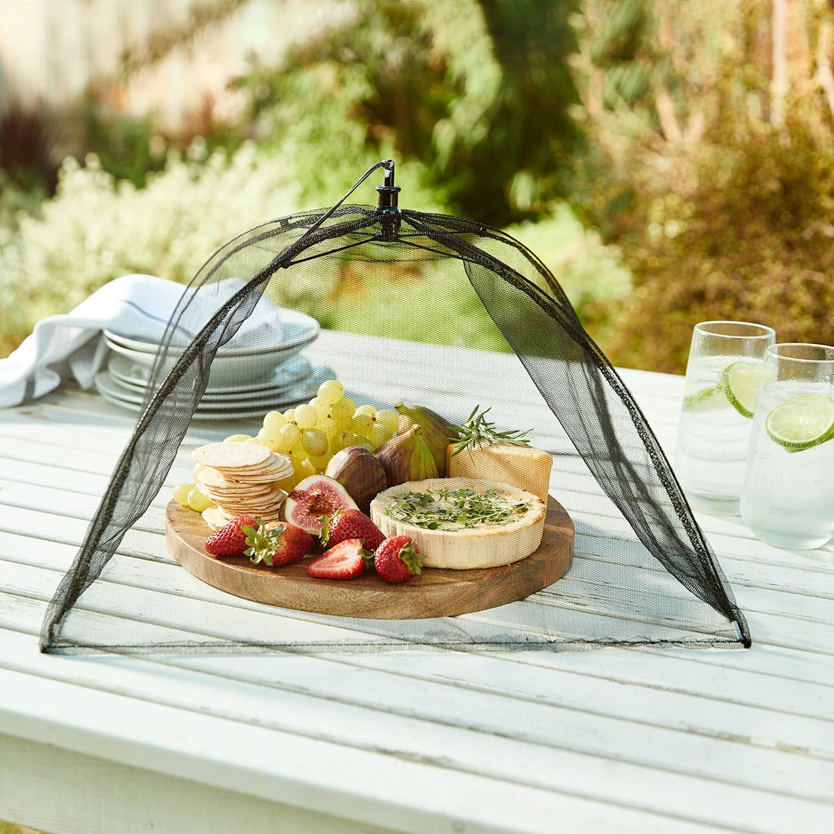 2 Pack Food Tents