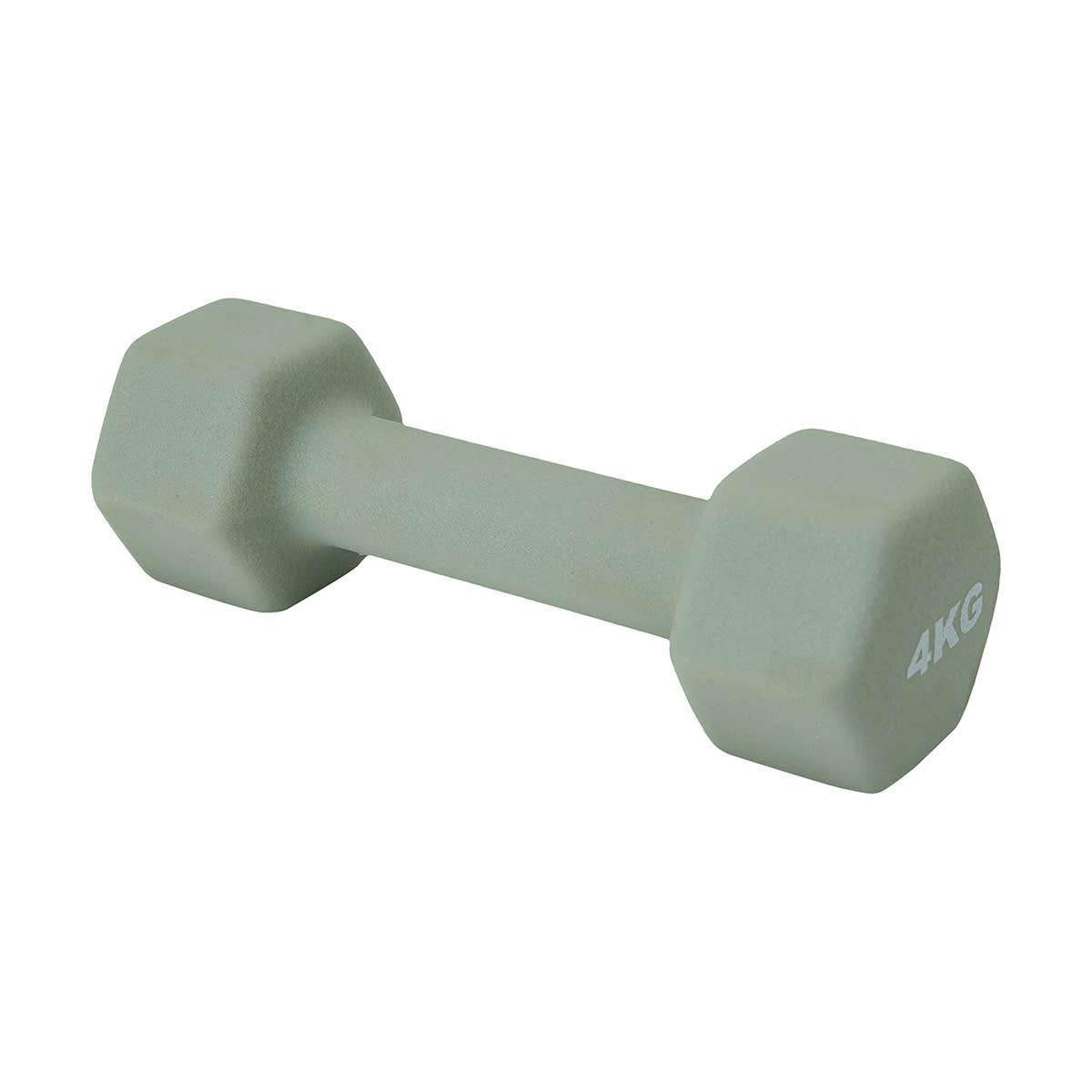 4kg Dumbbell