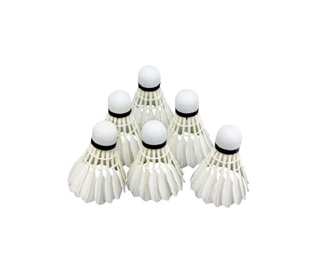 6 Pcs Golden Wing Badminton Shuttlecocks Feather