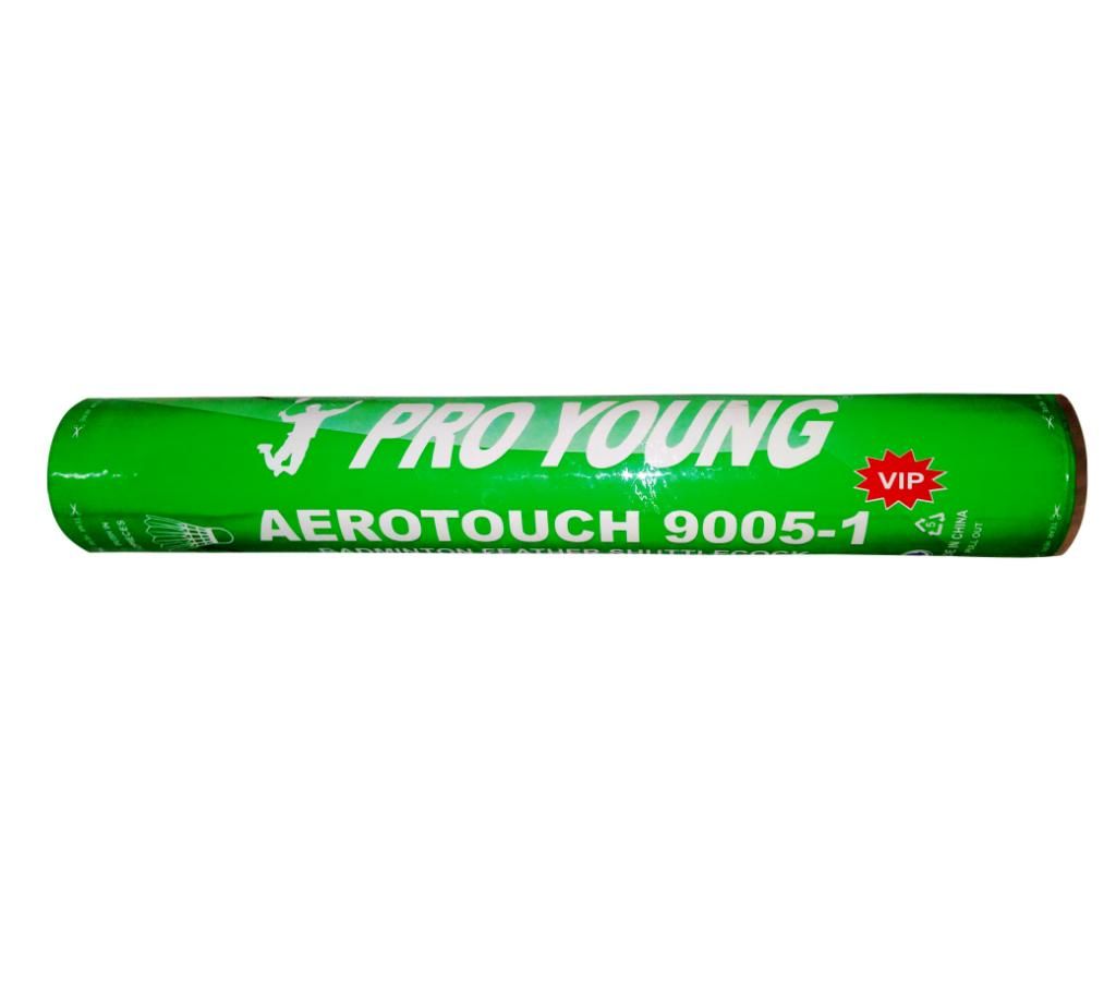 PRO YOUNG Shuttlecock 12pcs Copy