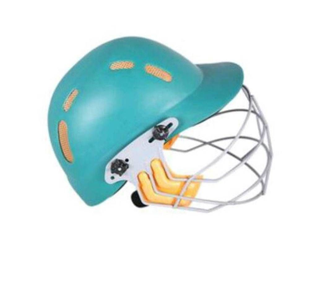cricket helmet 