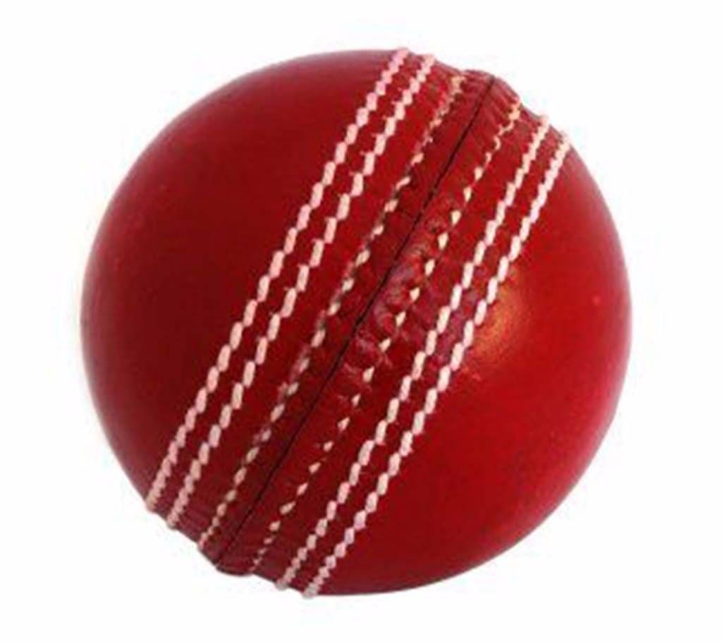 Samse Cricket Ball