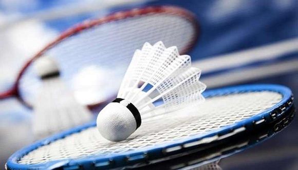 Badminton Pro Petrel Shuttle Cork - 1Pcs
