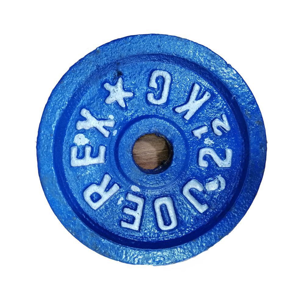 Dumbbell Plate Blue 2.5 kg